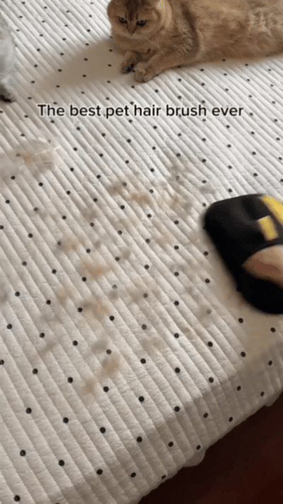PetPal Haren Verwijderhandschoen