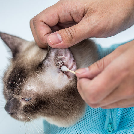 Waszak voor katten - Verzorgingstas