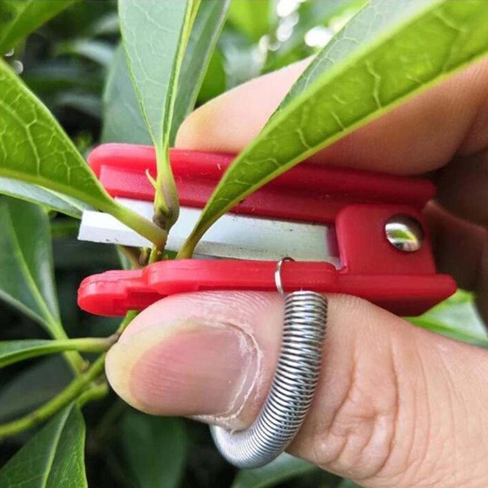 Plantenknipper Duim mes - Bloemen snijder - Bloemen knipper