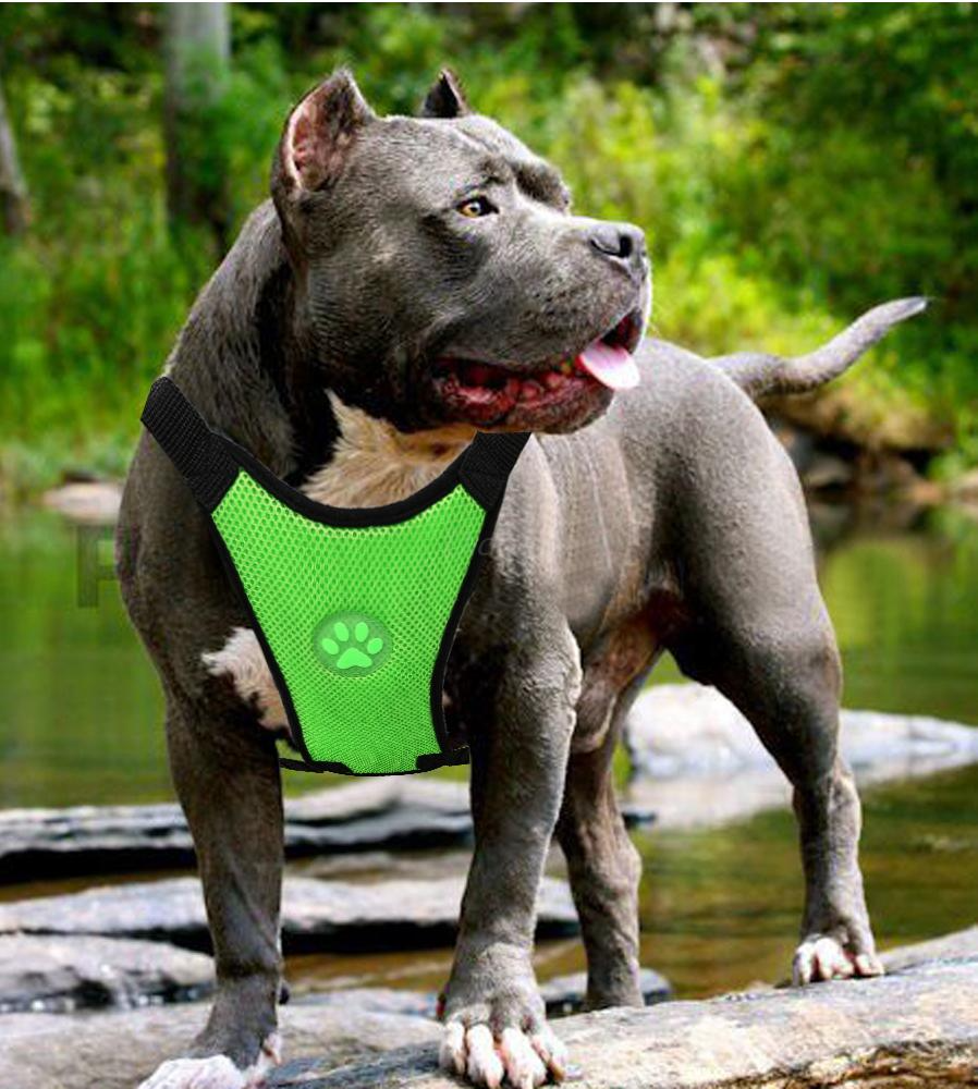 Premium Hondenharnas ™️| Voor iedere hond