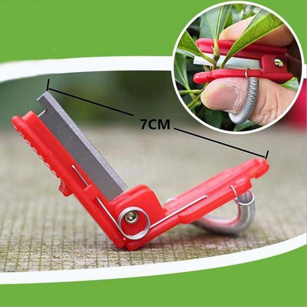 Plantenknipper Duim mes - Bloemen snijder - Bloemen knipper