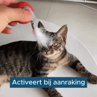 SwingTail Katten Speelbal