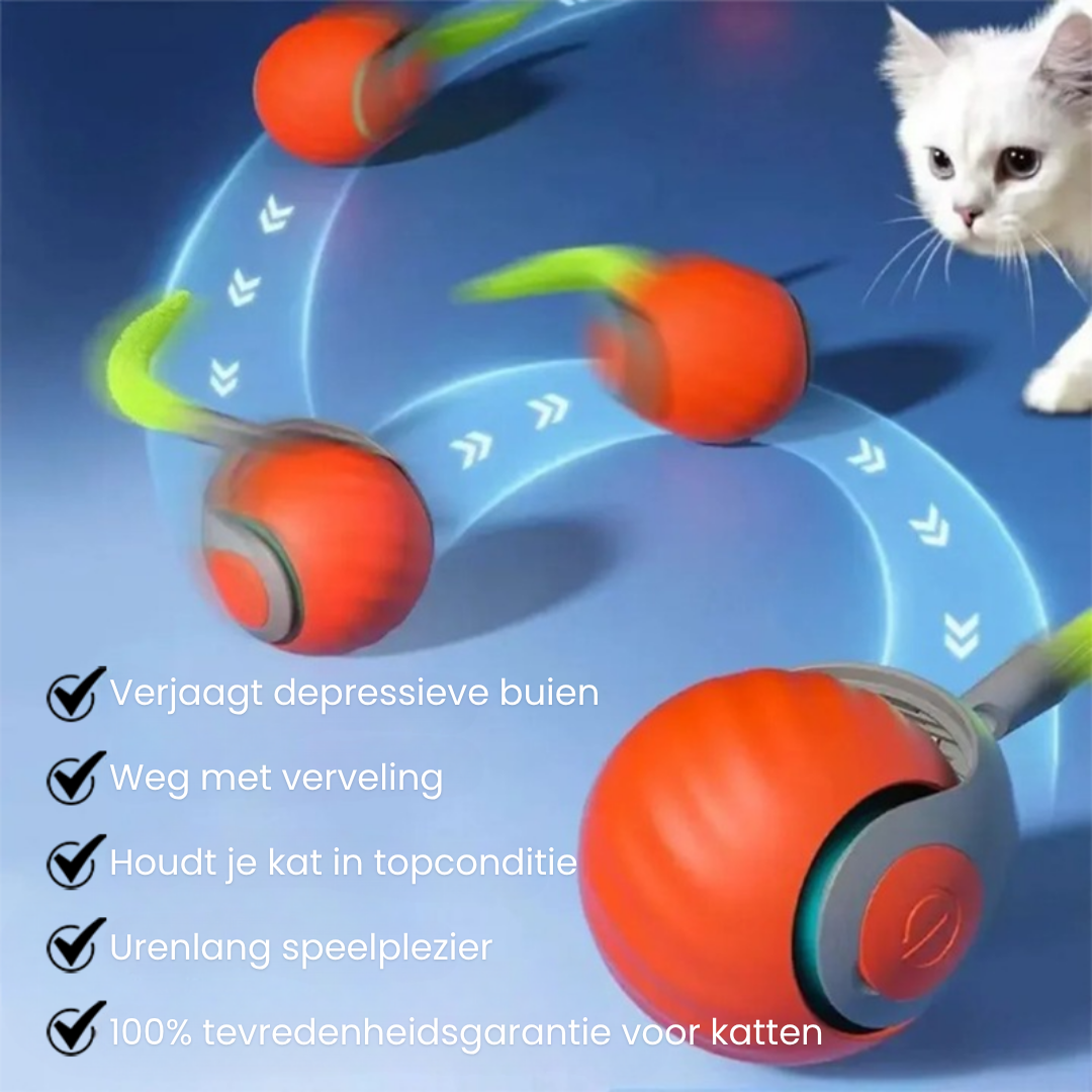 SwingTail Katten Speelbal