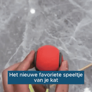 SwingTail Katten Speelbal