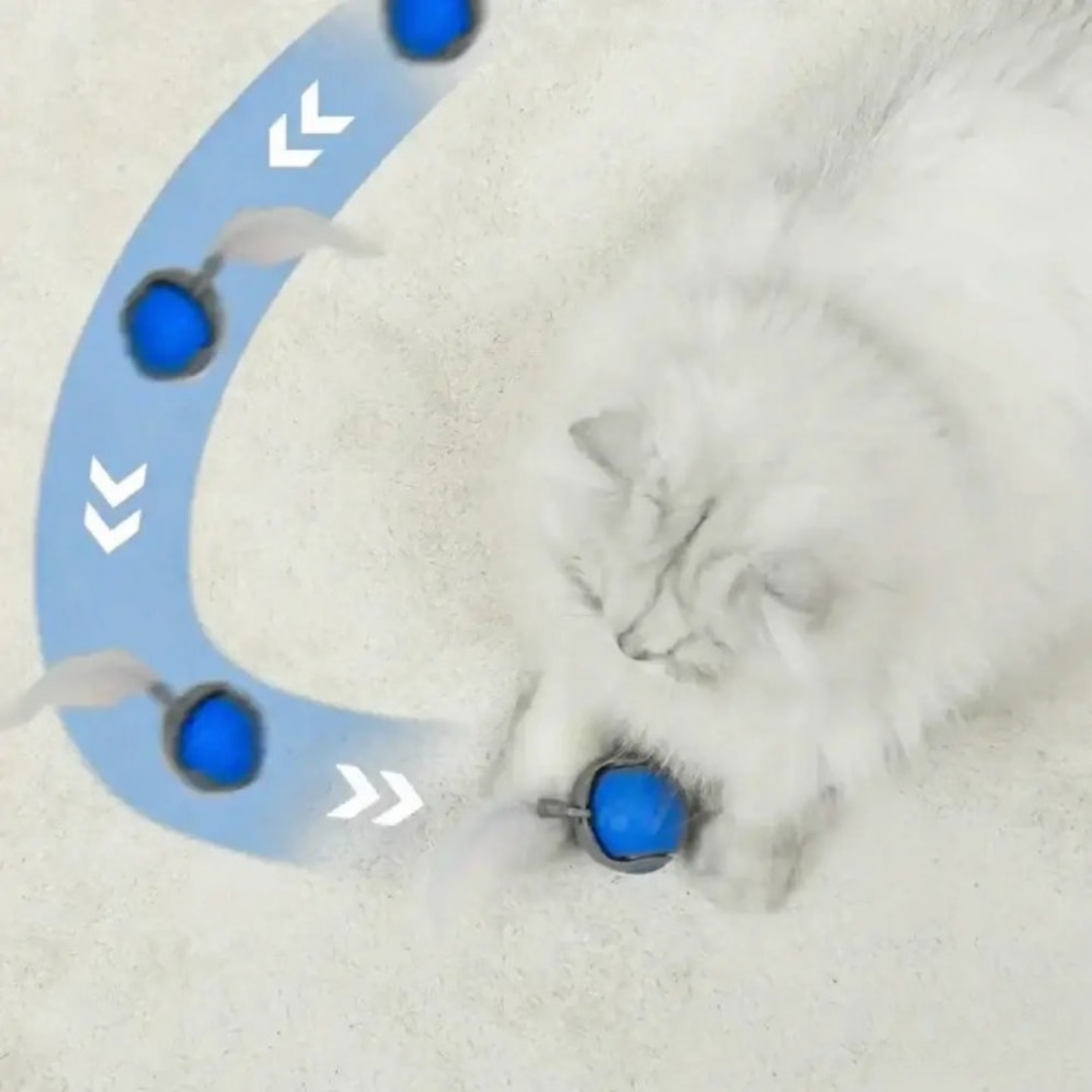 SwingTail Katten Speelbal