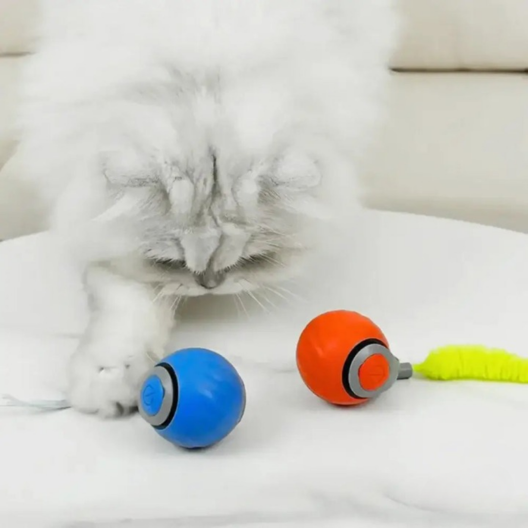 SwingTail Katten Speelbal