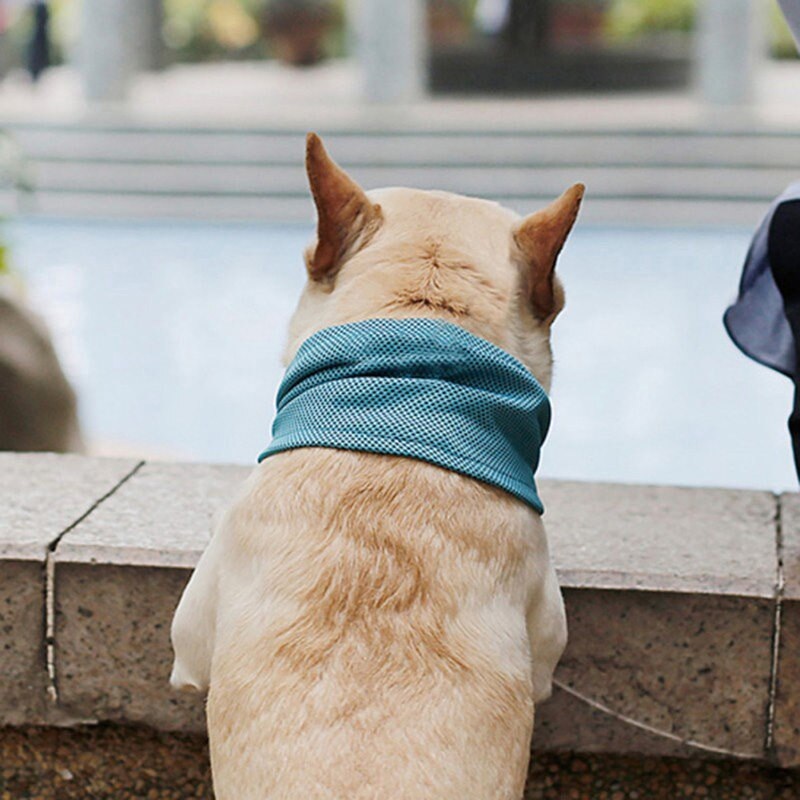 Huisdieren Cooling Bandana
