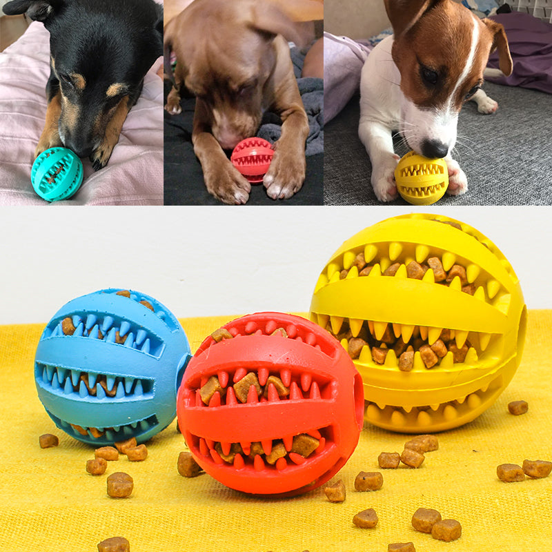2+1 GRATIS – Slow Feeder für Hunde