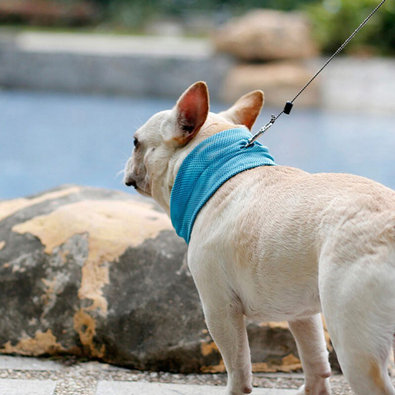 Huisdieren Cooling Bandana