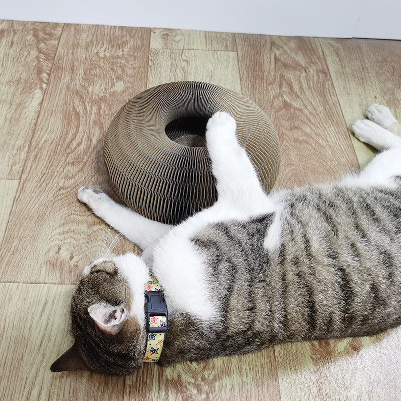Flexi Cat­ - Het Kattenspel van 2022