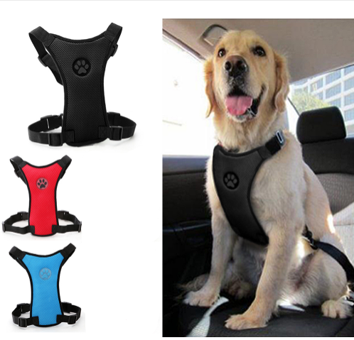 Premium Hondenharnas ™️| Voor iedere hond