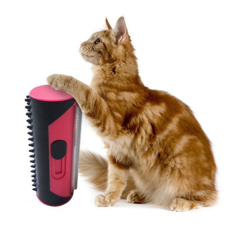 Petbrush 2.0 - De Ideale Borstel Voor Kat en Hond