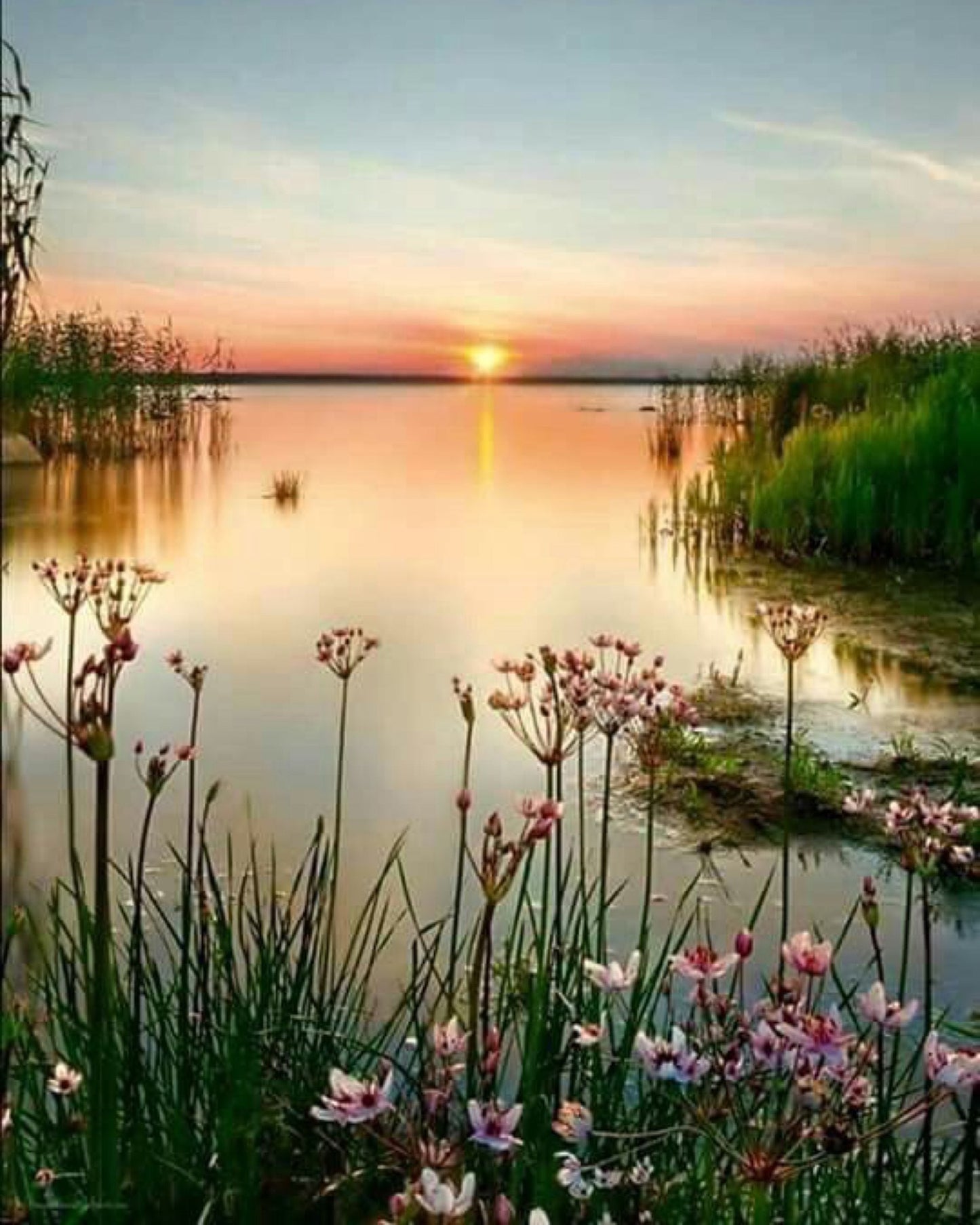 Diamond Painting Landschappen