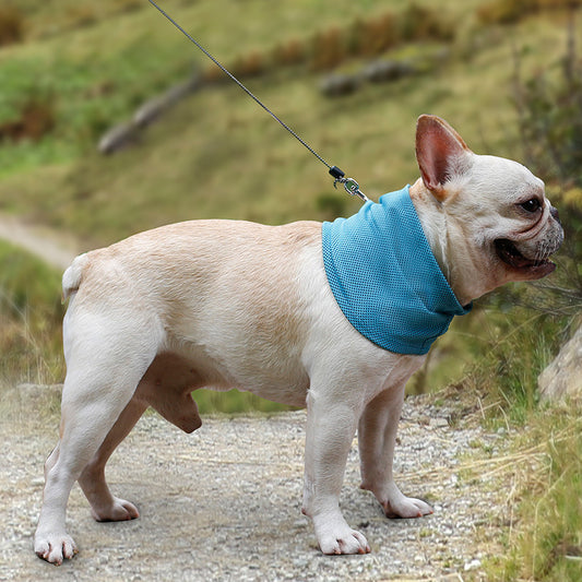 Huisdieren Cooling Bandana