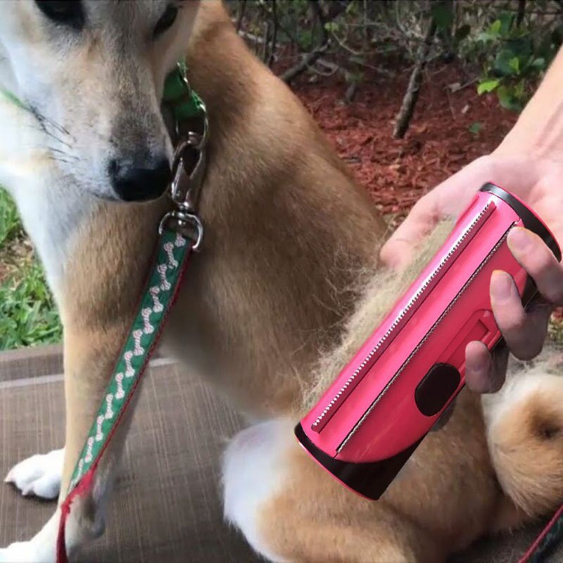 Petbrush 2.0 - De Ideale Borstel Voor Kat en Hond