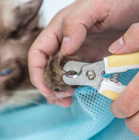 Waszak voor katten - Verzorgingstas