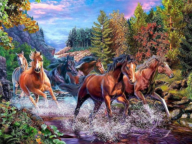 Diamond Painting Schilderijen