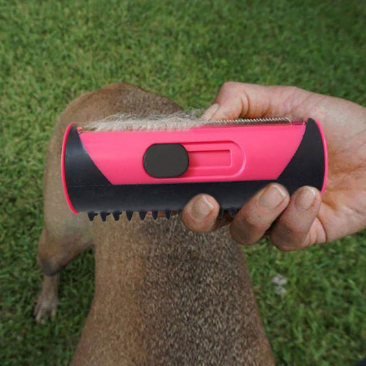 Petbrush 2.0 - De Ideale Borstel Voor Kat en Hond