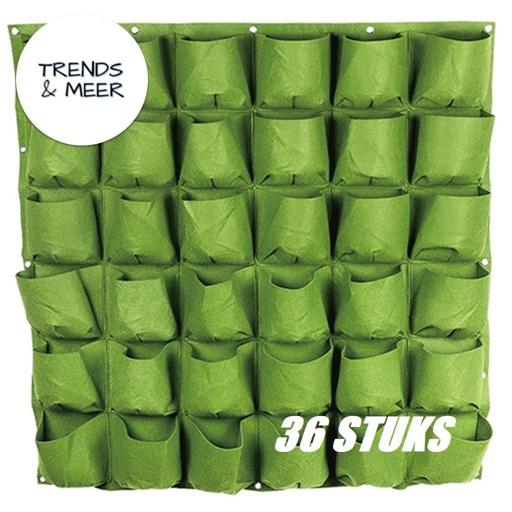 De Unieke Jungle Hangtuin - Trends & Meer