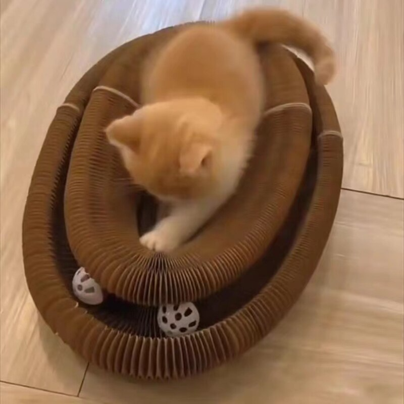 Flexi Cat­ - Het Kattenspel van 2022
