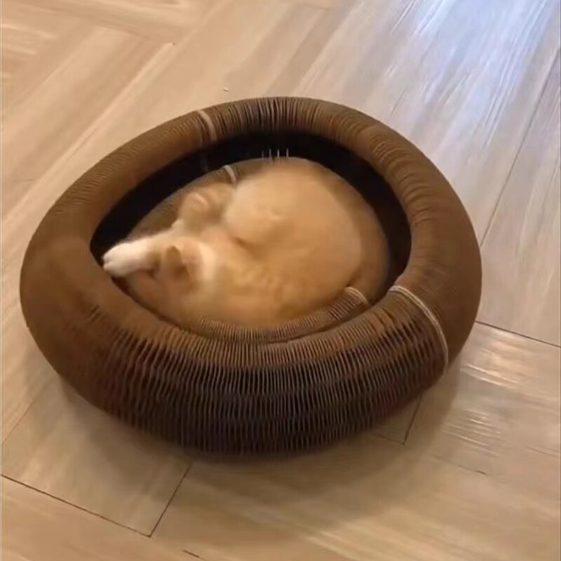 Flexi Cat­ - Het Kattenspel van 2022