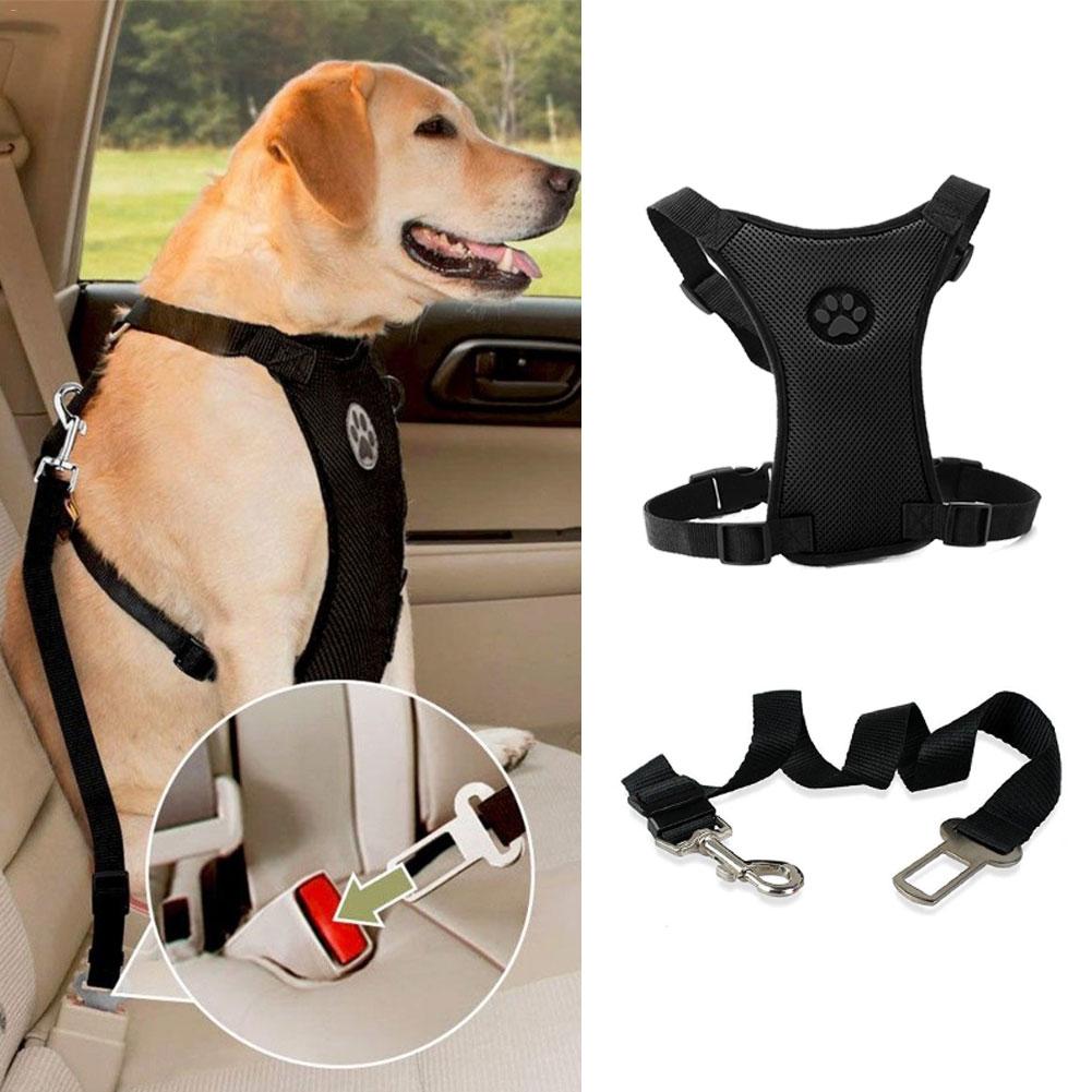 Premium Hondenharnas ™️| Voor iedere hond