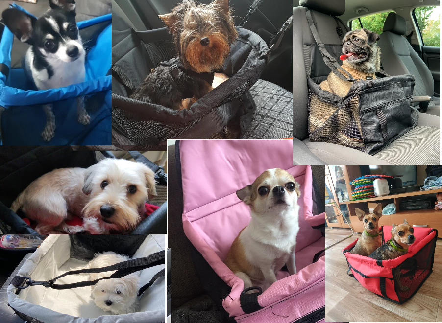 Exclusive Pet Travel Seat™ - Geschikt Voor Alle Viervoeters - Trends & Meer