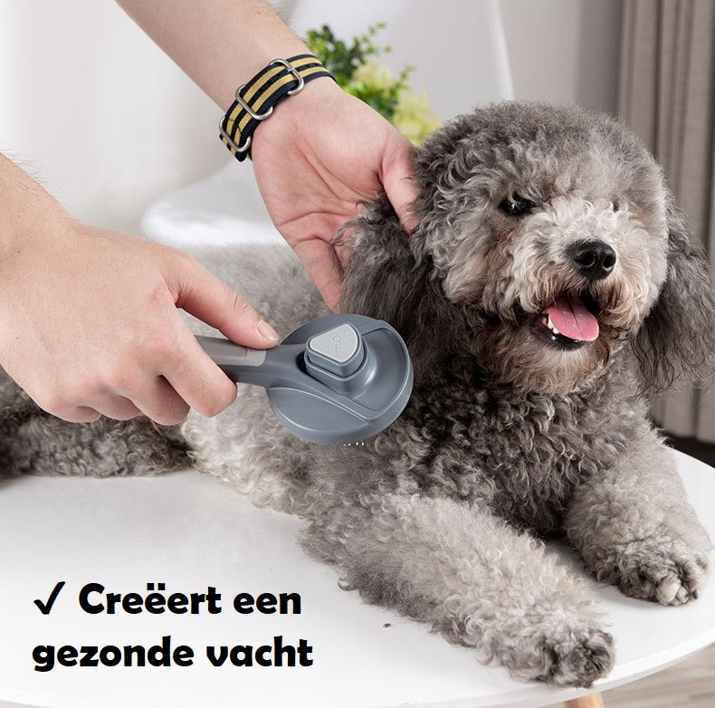 PetBrush™️ | Verbeter de vacht van jouw viervoeter