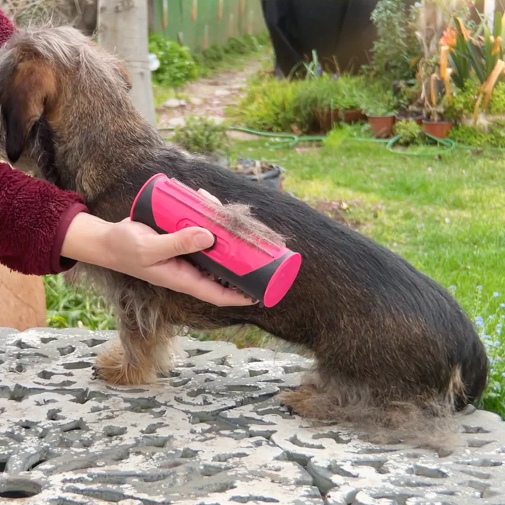 Petbrush 2.0 - De Ideale Borstel Voor Kat en Hond