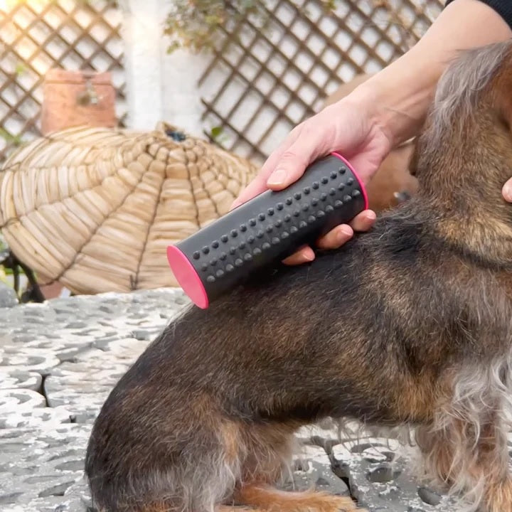 Petbrush 2.0 - De Ideale Borstel Voor Kat en Hond