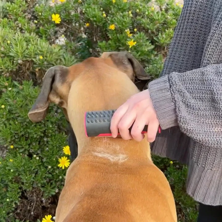 Petbrush 2.0 - De Ideale Borstel Voor Kat en Hond